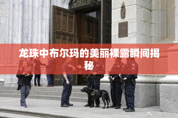 龙珠中布尔玛的美丽裸露瞬间揭秘