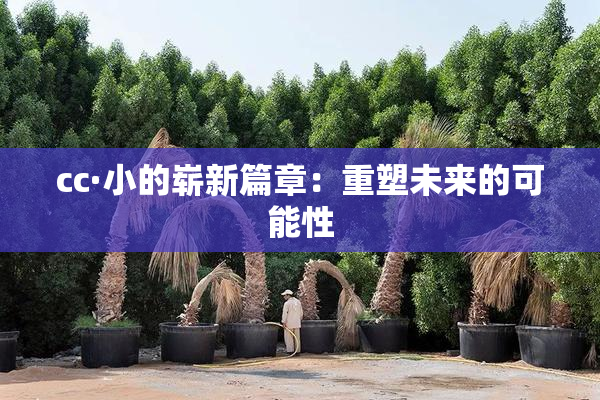 cc·小的崭新篇章：重塑未来的可能性