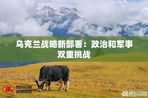 乌克兰战略新部署：政治和军事双重挑战