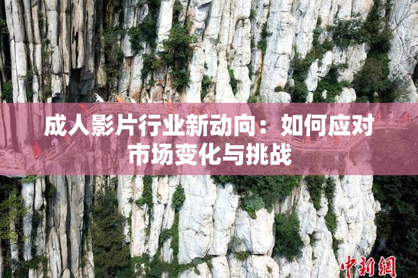 成人影片行业新动向：如何应对市场变化与挑战