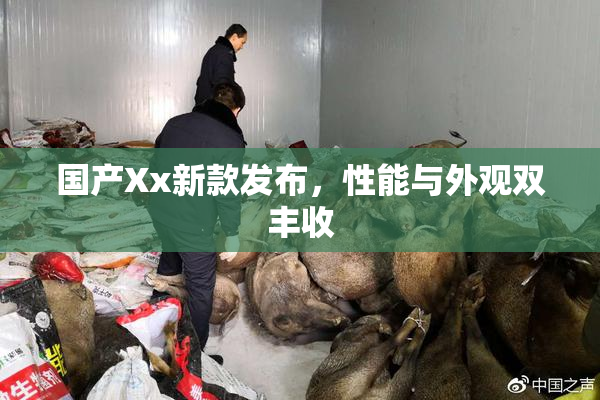 国产Xx新款发布，性能与外观双丰收