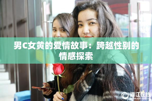 男C女黄的爱情故事：跨越性别的情感探索