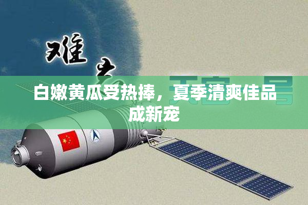 白嫩黄瓜受热捧，夏季清爽佳品成新宠
