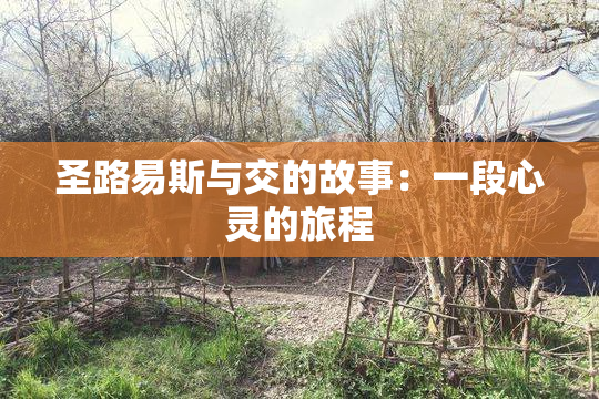 圣路易斯与交的故事：一段心灵的旅程