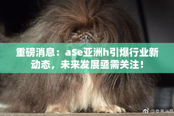 重磅消息：aSe亚洲h引爆行业新动态，未来发展亟需关注！