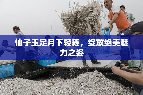 仙子玉足月下轻舞，绽放绝美魅力之姿