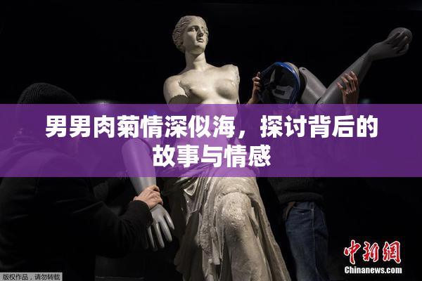 男男肉菊情深似海，探讨背后的故事与情感