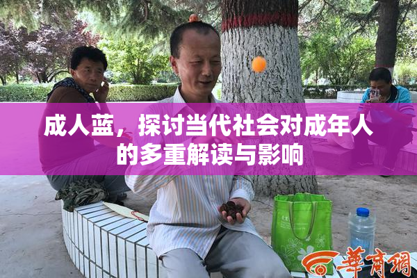 成人蓝，探讨当代社会对成年人的多重解读与影响