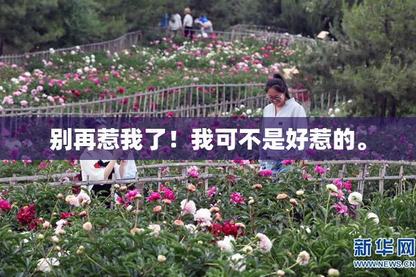 别再惹我了！我可不是好惹的。
