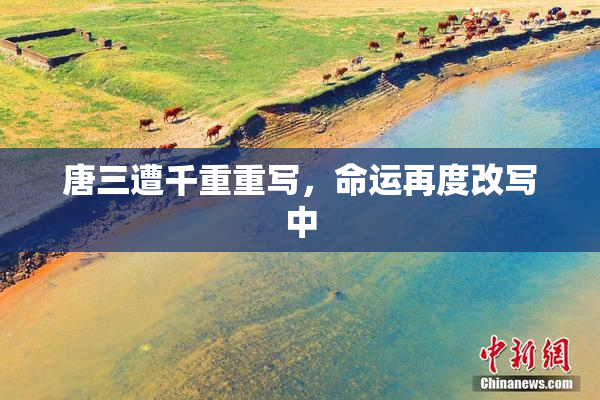 唐三遭千重重写，命运再度改写中