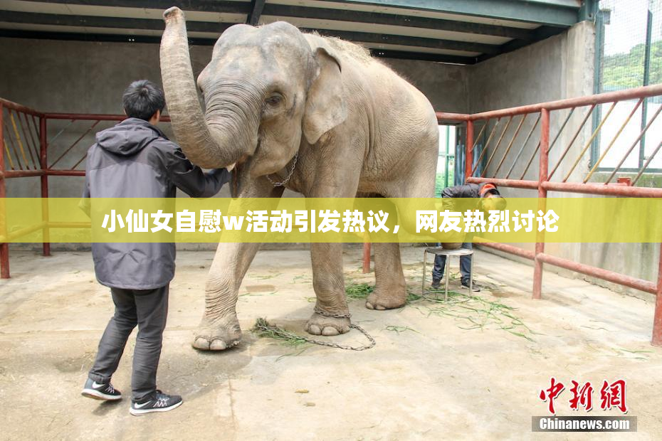 小仙女自慰w活动引发热议，网友热烈讨论
