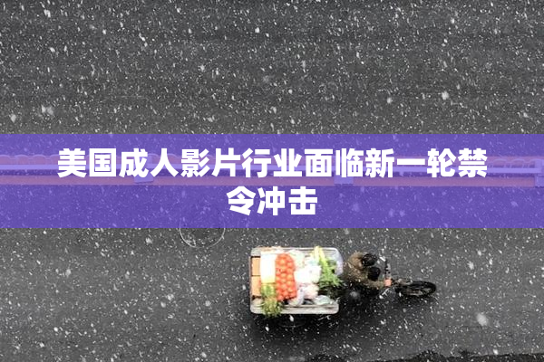 美国成人影片行业面临新一轮禁令冲击