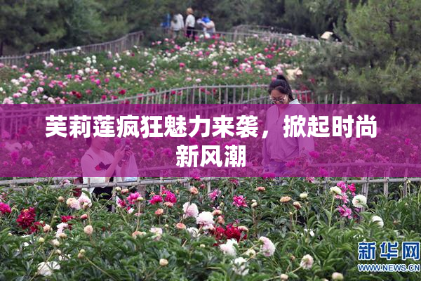 芙莉莲疯狂魅力来袭，掀起时尚新风潮