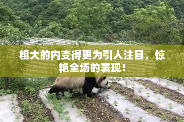 粗大的内变得更为引人注目，惊艳全场的表现！