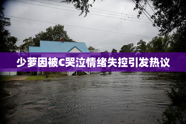 少萝因被C哭泣情绪失控引发热议