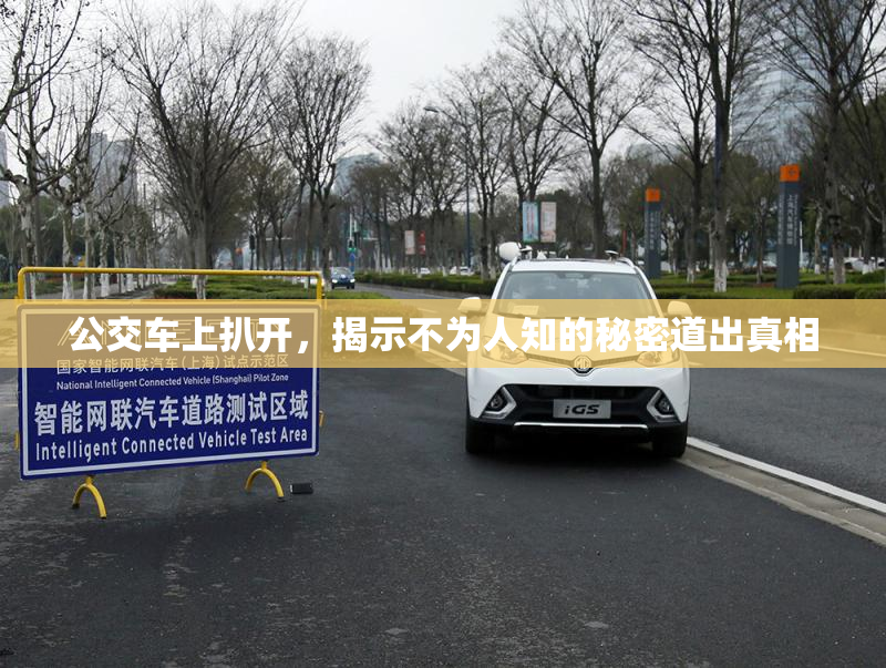 公交车上扒开，揭示不为人知的秘密道出真相