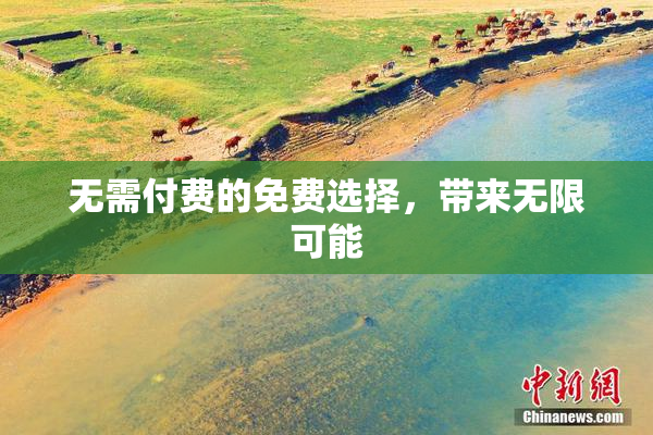 无需付费的免费选择，带来无限可能