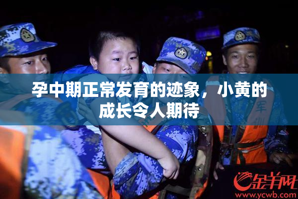 孕中期正常发育的迹象，小黄的成长令人期待