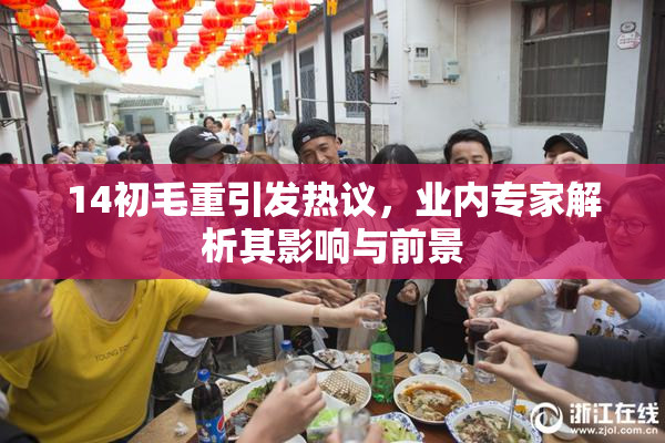 14初毛重引发热议，业内专家解析其影响与前景