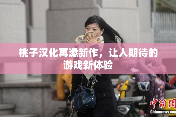 桃子汉化再添新作，让人期待的游戏新体验