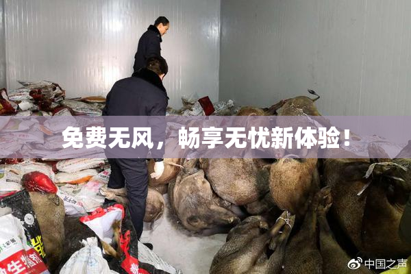 免费无风，畅享无忧新体验！
