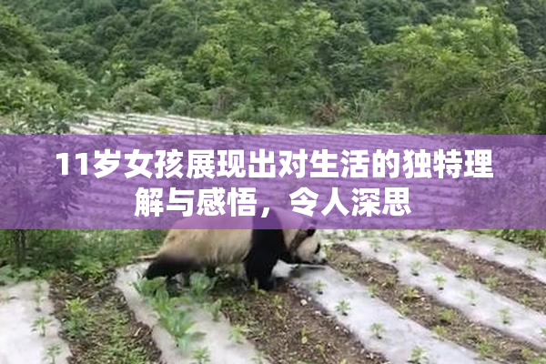 11岁女孩展现出对生活的独特理解与感悟，令人深思
