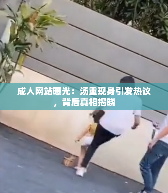 成人网站曝光：汤重现身引发热议，背后真相揭晓