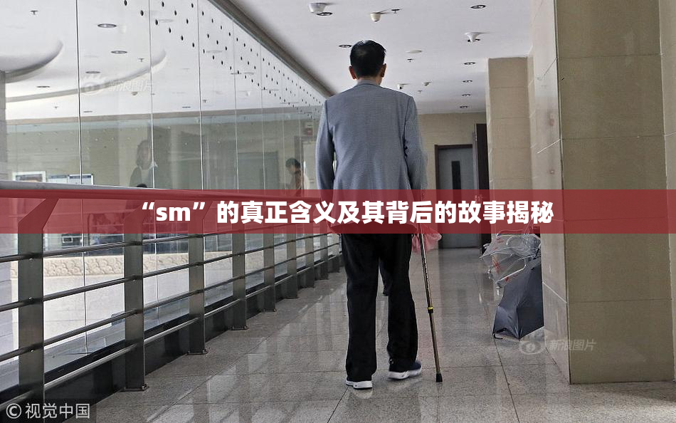 “sm”的真正含义及其背后的故事揭秘