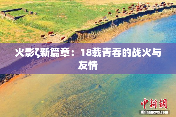 火影ζ新篇章：18载青春的战火与友情