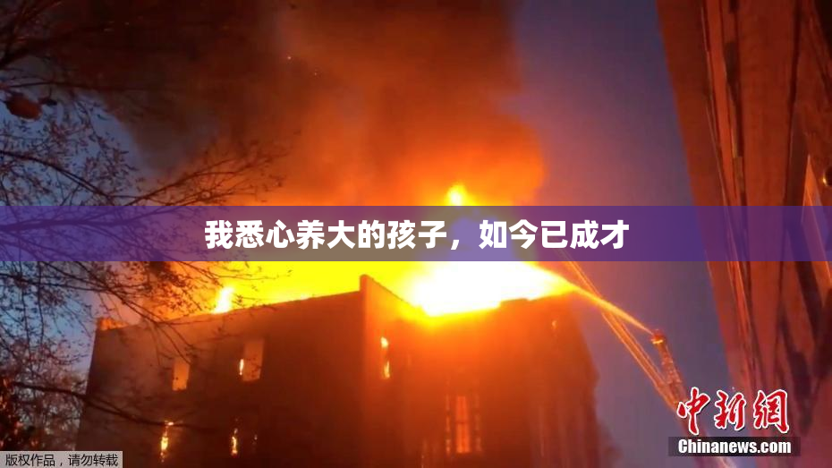 我悉心养大的孩子，如今已成才