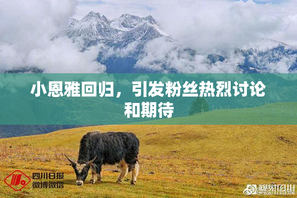 小恩雅回归，引发粉丝热烈讨论和期待