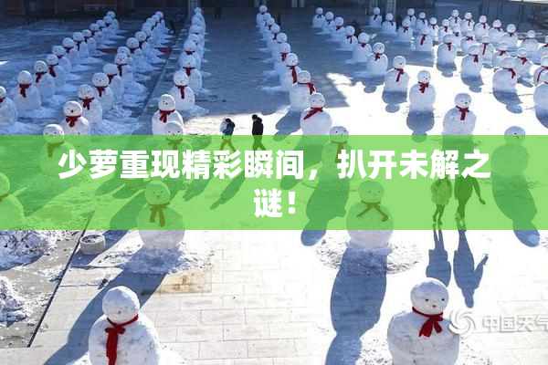 少萝重现精彩瞬间，扒开未解之谜！