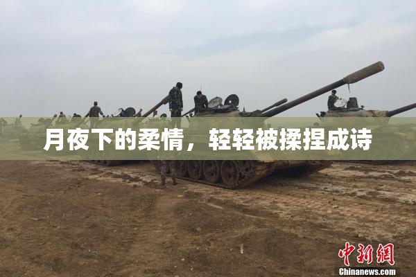 月夜下的柔情，轻轻被揉捏成诗