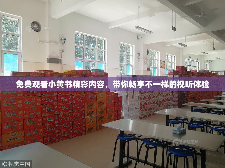 免费观看小黄书精彩内容，带你畅享不一样的视听体验