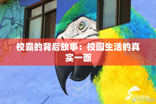 校霸的背后故事：校园生活的真实一面