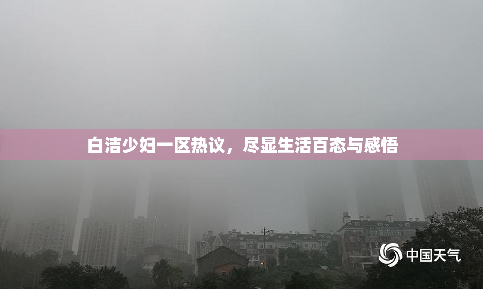 白洁少妇一区热议，尽显生活百态与感悟