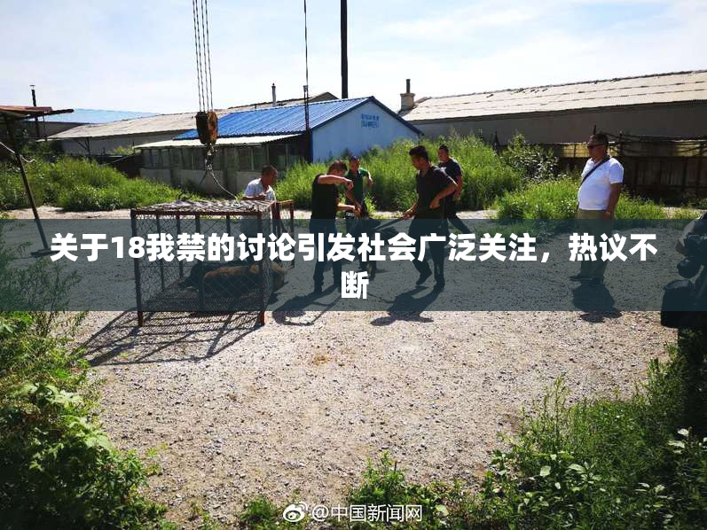 关于18我禁的讨论引发社会广泛关注，热议不断