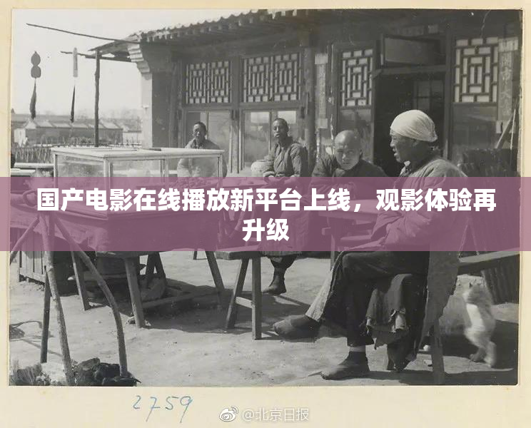 国产电影在线播放新平台上线，观影体验再升级