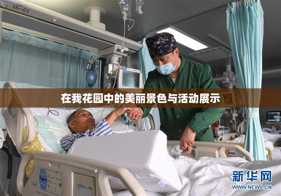 在我花园中的美丽景色与活动展示