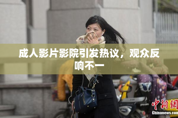 成人影片影院引发热议，观众反响不一