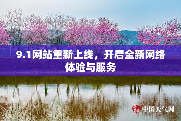 9.1网站重新上线，开启全新网络体验与服务