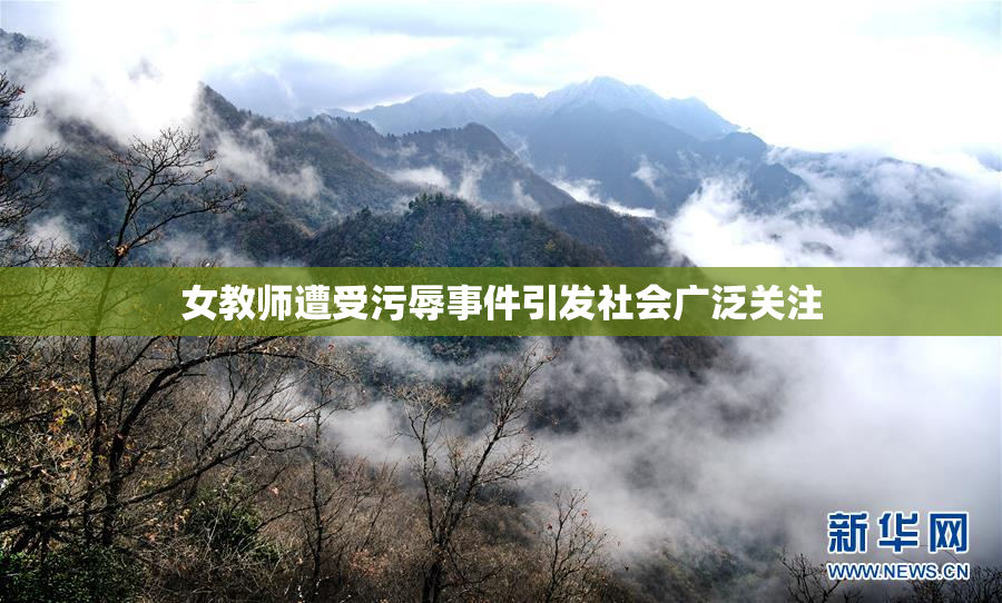 女教师遭受污辱事件引发社会广泛关注
