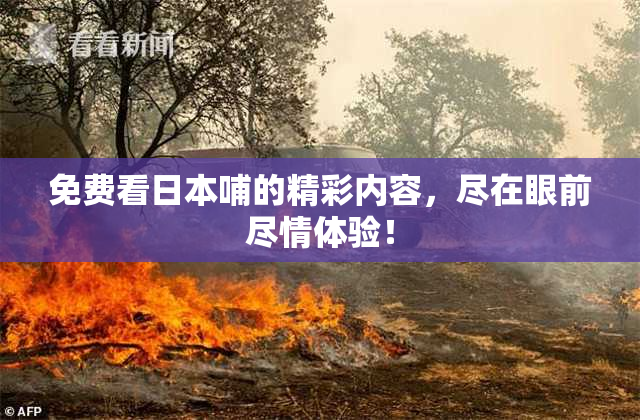 免费看日本哺的精彩内容，尽在眼前尽情体验！