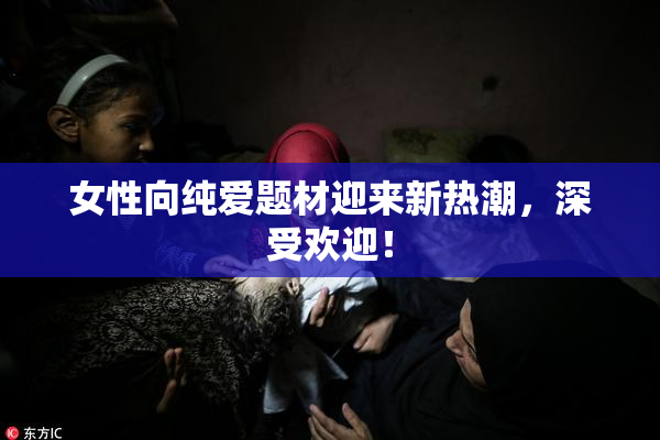 女性向纯爱题材迎来新热潮，深受欢迎！
