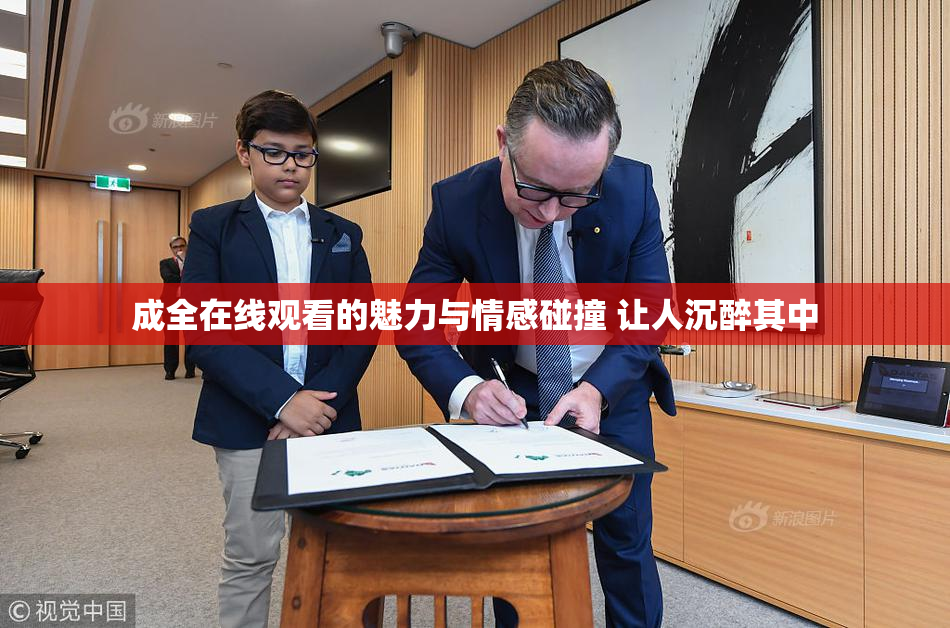 成全在线观看的魅力与情感碰撞 让人沉醉其中