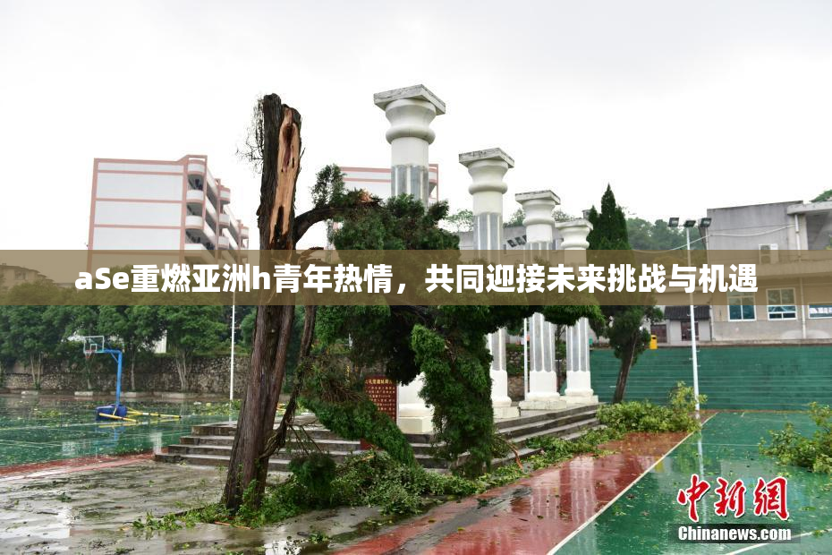 aSe重燃亚洲h青年热情，共同迎接未来挑战与机遇
