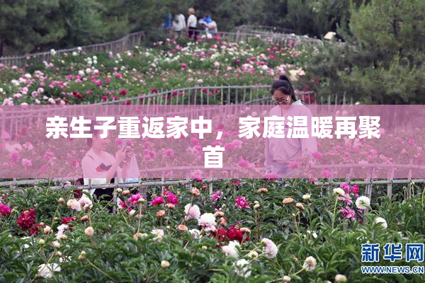 亲生子重返家中，家庭温暖再聚首