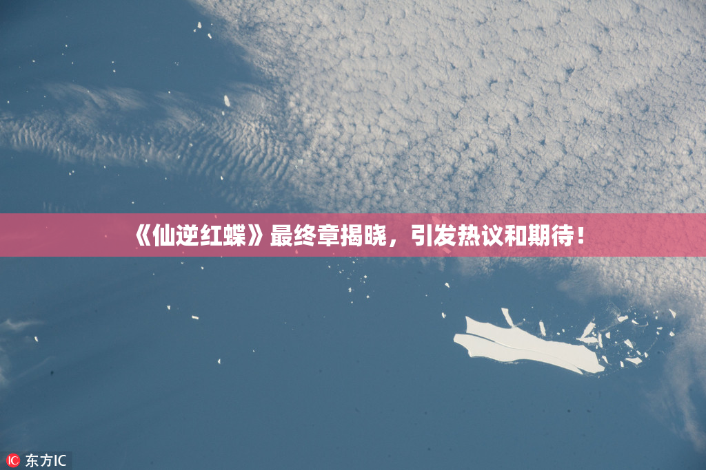 《仙逆红蝶》最终章揭晓，引发热议和期待！