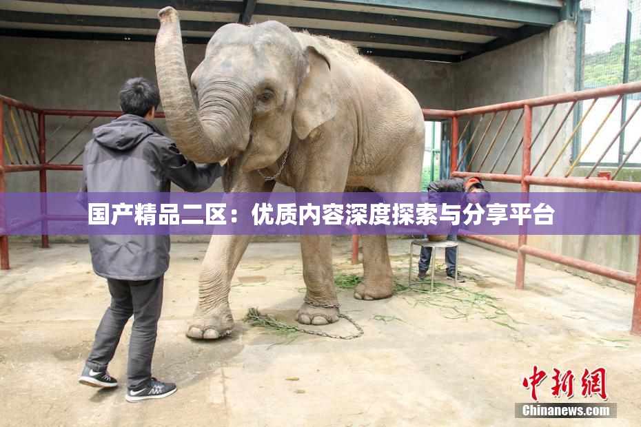 国产精品二区：优质内容深度探索与分享平台