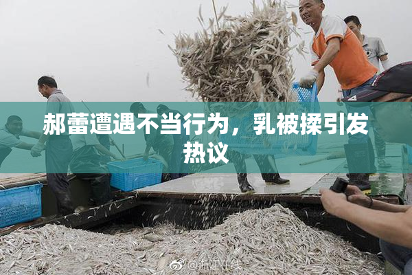 郝蕾遭遇不当行为，乳被揉引发热议